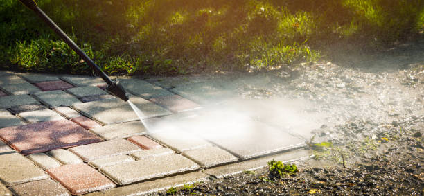 Best Gutter Cleaning  in Wayne, WV